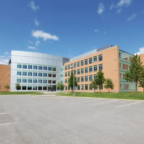 Schools and universities